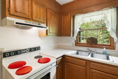 83 Snowy Cove Ln, Black Mountain, NC 28711